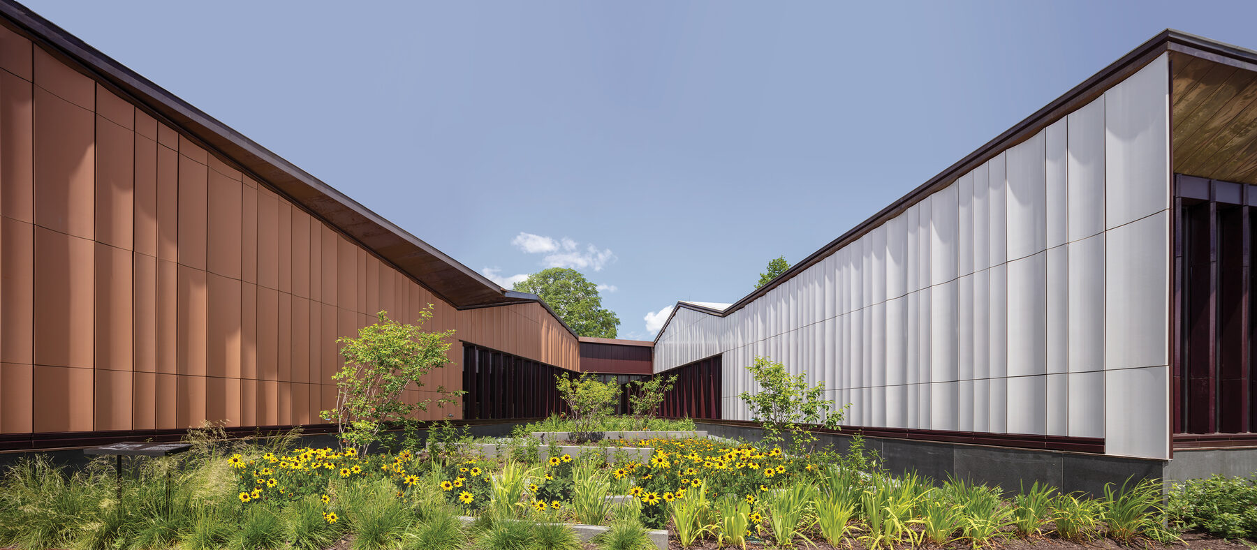 The space between the front and rear volumes, a planted courtyard of native grasses