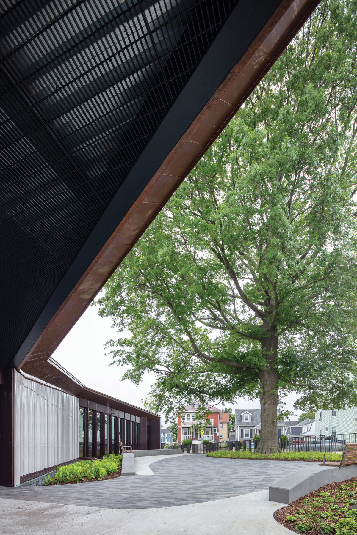 The corten roof edge cantilevers out and stops at the great oak, framing a view through to the triple-deckers beyond