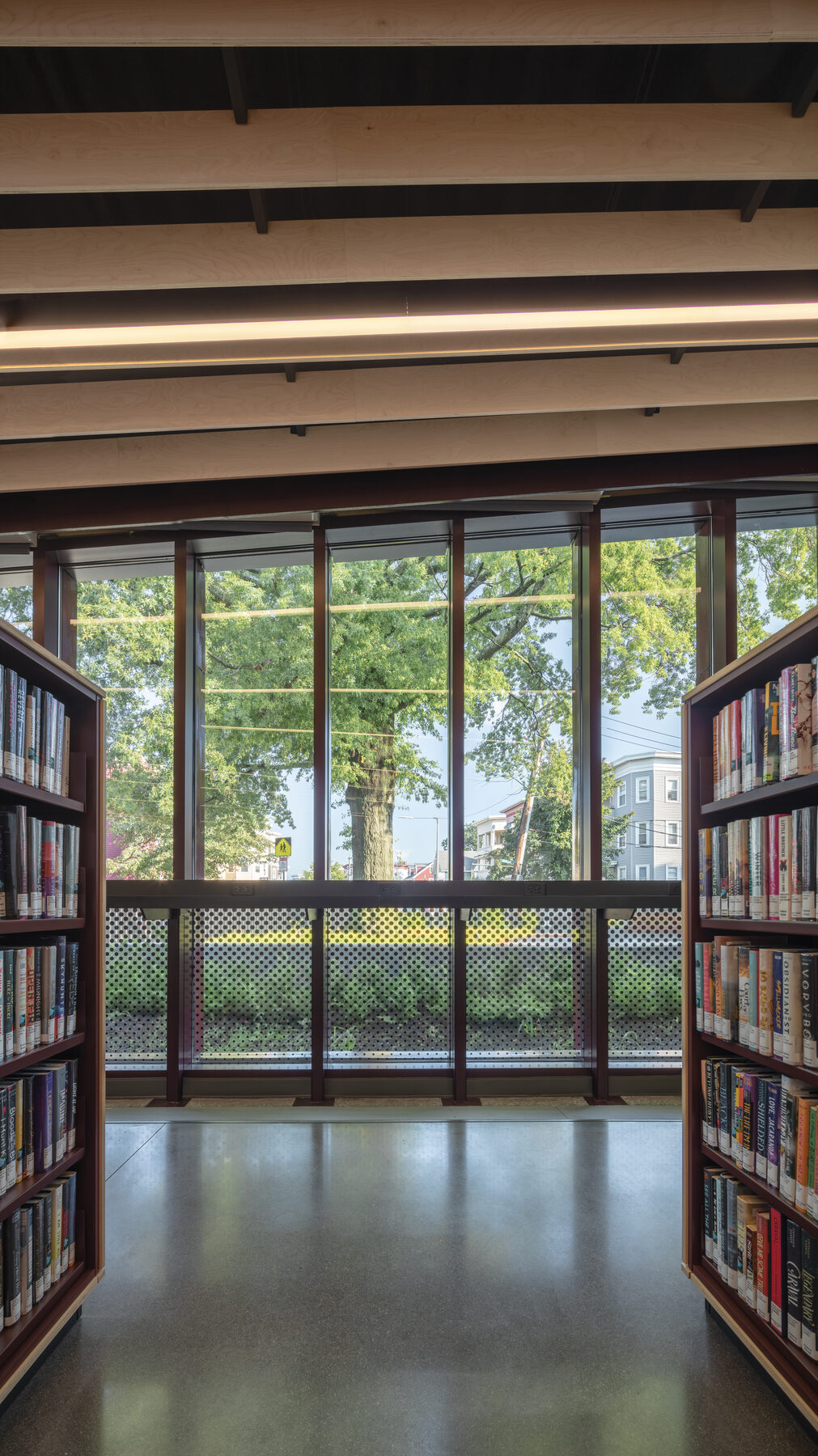 Looking out from between two stacks of books to the street and trees beyond