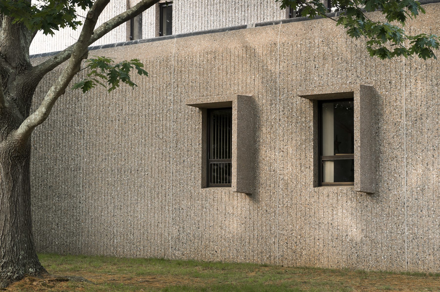 A close view of the original 1973 textured precast wall preserved on the side of the building, with two of the deeply set slit windows projecting from the corduroy concrete surface, a mature tree at left